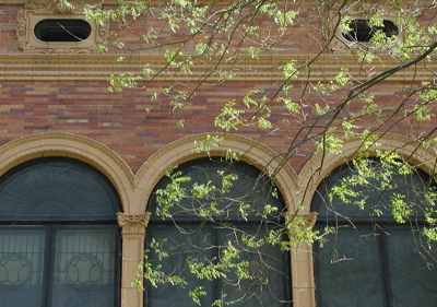 Spfd Libry & Museum Associatio